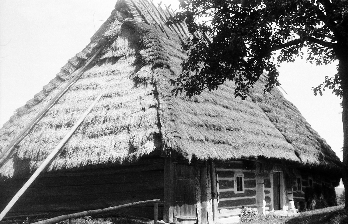 Oryginalna chałupa wiejska kryta strzechą. Wschodnia Małopolska (okolice Rymanowa)