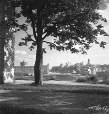 Widok ze Wzgórza Czwartek w Lublinie w dniu 22 lipca 1954 roku