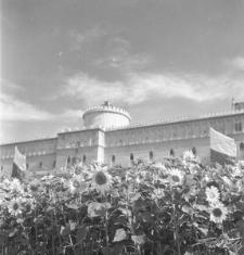 Zamek Lubelski w dniu 22 lipca 1954 roku