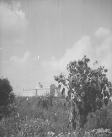 Widok na Zamek Lubelski w dniu 22 lipca 1954 roku