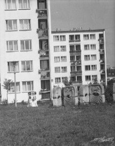 Zabudowa dzielnicy LSM