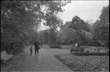 Lublin, Ogr&oacute;d Saski