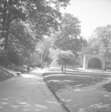 Ogr&oacute;d Saski w Lublinie