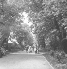 Ogr&oacute;d Saski w Lublinie