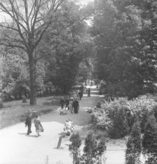 Ogr&oacute;d Saski w Lublinie