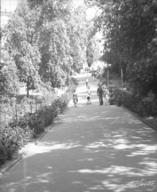 Ogr&oacute;d Saski w Lublinie