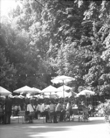 Ogr&oacute;d Saski w Lublinie