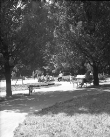 Ogr&oacute;d Saski w Lublinie