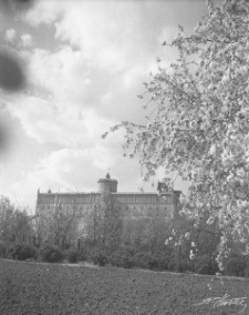 Widok na Zamek Lubelski