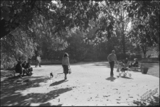 Ogr&oacute;d Saski w Lublinie