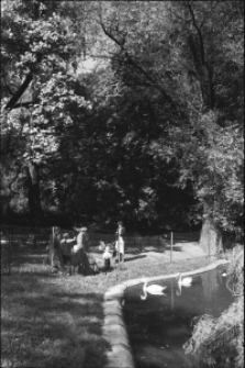 Ogr&oacute;d Saski w Lublinie