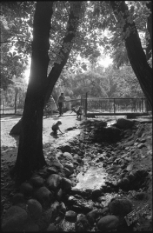 Ogr&oacute;d Saski w Lublinie