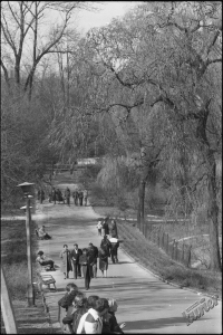 Ogr&oacute;d Saski w Lublinie