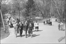 Ogr&oacute;d Saski w Lublinie