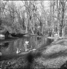 Ogr&oacute;d Saski w Lublinie