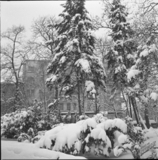 Ogr&oacute;d Saski w Lublinie
