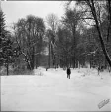 Ogr&oacute;d Saski w Lublinie