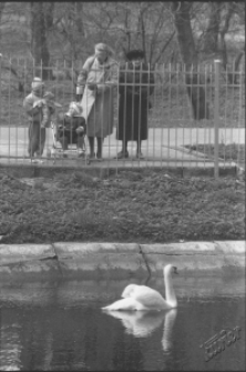 Ogr&oacute;d Saski w Lublinie