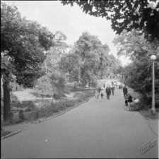 Ogr&oacute;d Saski w Lublinie