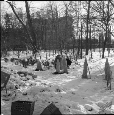 Ogr&oacute;d Saski w Lublinie
