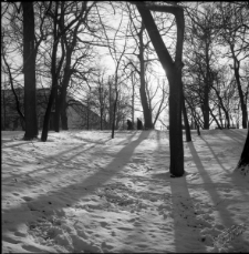 Ogr&oacute;d Saski w Lublinie