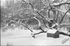 Ogr&oacute;d Saski w Lublinie