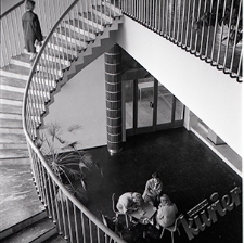 W bibliotece UMCS w Lublinie - na schodach prowadzących do czytelni