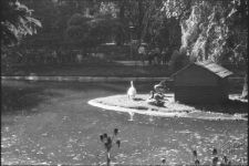 Ogr&oacute;d Saski w Lublinie