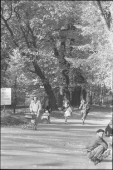 Ogr&oacute;d Saski w Lublinie