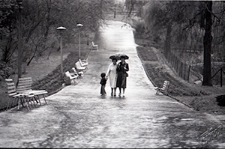 Ogr&oacute;d Saski w Lublinie - na gł&oacute;wnej alejce przy stawie