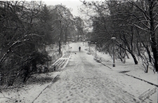 Ogr&oacute;d Saski w Lublinie zimą - widok z gł&oacute;wnej alejki w kierunku wejścia