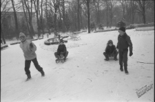 Ogr&oacute;d Saski w Lublinie