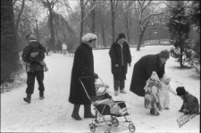 Ogr&oacute;d Saski w Lublinie