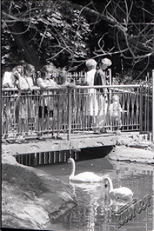 Ogr&oacute;d Saski w Lublinie - dzieci obserwujące łabędzie z mostku na stawie