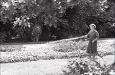 Ogr&oacute;d Saski w Lublinie - podlewanie kwiat&oacute;w przy gł&oacute;wnej alejce