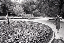 Ogr&oacute;d Saski w Lublinie - zegar słoneczny i jego roślinność podczas podlewania