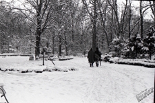 Ogr&oacute;d Saski w Lublinie zimą - okolice zagara słonecznego