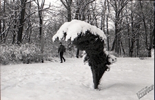 Ogr&oacute;d Saski w Lublinie zimą - spacer gł&oacute;wną alejką