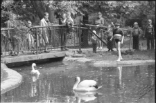 Ogr&oacute;d Saski w Lublinie