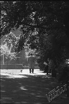 Ogr&oacute;d Saski w Lublinie - alejka bocznego skweru ze spacerującym mężczyzną