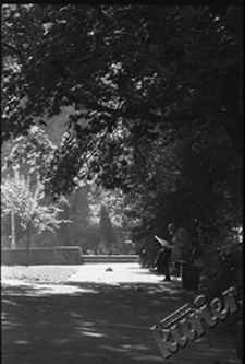 Ogr&oacute;d Saski w Lublinie - alejka bocznego skweru