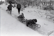 Ogr&oacute;d Saski w Lublinie zimą - zabawy z sankami na ślizgawce przy gł&oacute;wnym wejściu