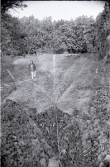 Ogr&oacute;d Saski w Lublinie - dolinka z chodnikiem (impresja artystyczna - collage)