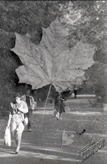 Ogr&oacute;d Saski w Lublinie - jesienny spacer (impresja artystyczna - collage)