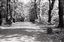 Ogr&oacute;d Saski w Lublinie - perspektywa południowej alejki parku