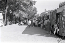 Przystanek autobusowy przy gł&oacute;wnym wejściu Ogrodu Saskiego z widokiem na Krakowskie Przedmieście w Lublinie