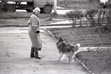 Ulica Puławska 18 w Lublinie - spacer z psem przed blokiem