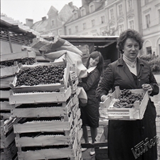 Jarmark na placu Zebrań Ludowych w Lublinie - stoisko z bułgarskimi winogronami