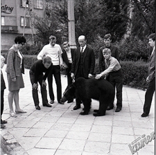 Aleja Świerczewskiego w Lublinie - kobieta i mężczyźni z niedźwiedziem na chodniku