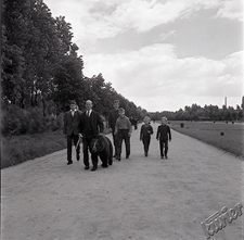 Park Ludowy w Lublinie - mężczyźni i chłopcy na spacerze z niedźwiedziem